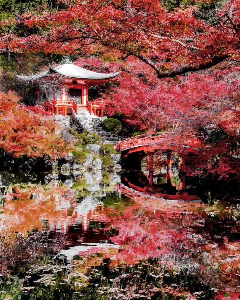 .
In early November, stunning fall colors begin to fill up the mountainside of D...