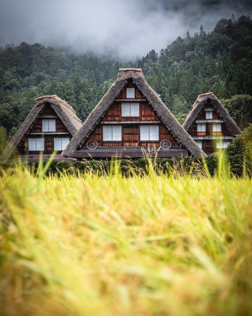 There's a certain magic in watching seasons and colors change. 
: @benjaminbeech...