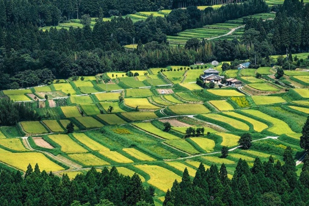 Can you believe this is near Kyoto?! The Koshihata and Shikimigahara rice terrac...