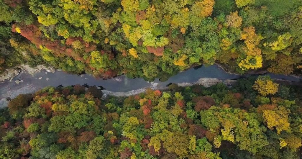 Oyasu Ravine in Tohoku’s Akita Prefecture is a lush valley full of onsen (hot sp...