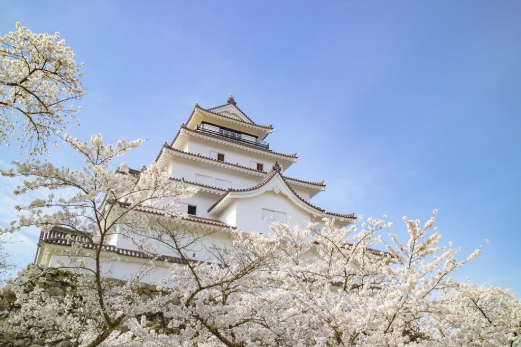During the spring, Tsurugajo Castle in Aizu Wakamatsu appears to float on a clou...