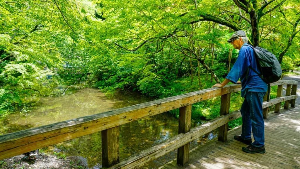 Visit Japan: What does a day in Oita look like? How about taking in the sights of Lake Kinrin… What does a day in Oita look like? How about taking in the sights of Lake Kinrin...