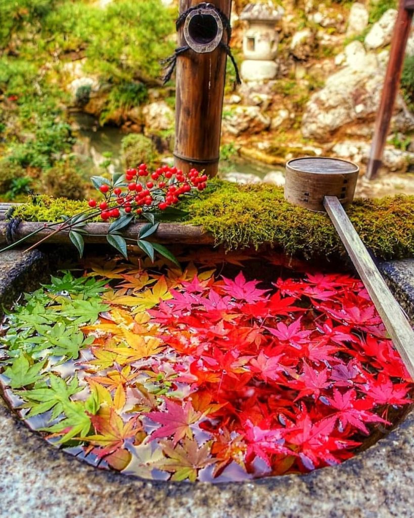 Japan Travel: A traffic light colored autumn delight!
: @lotus.m.lotus
—–⠀
Yanagidani Kan… A traffic light colored autumn delight!
: @lotus.m.lotus
-----⠀
Yanagidani Kan...