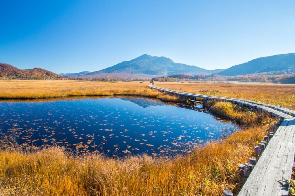 Visit Japan: Lace up your hiking boots, its adventure time! Oze National Park’s trails are a… Lace up your hiking boots, its adventure time! Oze National Park's trails are a...