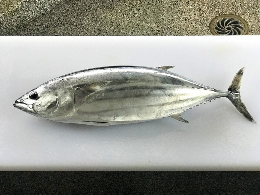 The Japan Times: The town of Kure in Kochi may be less known than the same-named city in Hiroshim… The town of Kure in Kochi may be less known than the same-named city in Hiroshim...