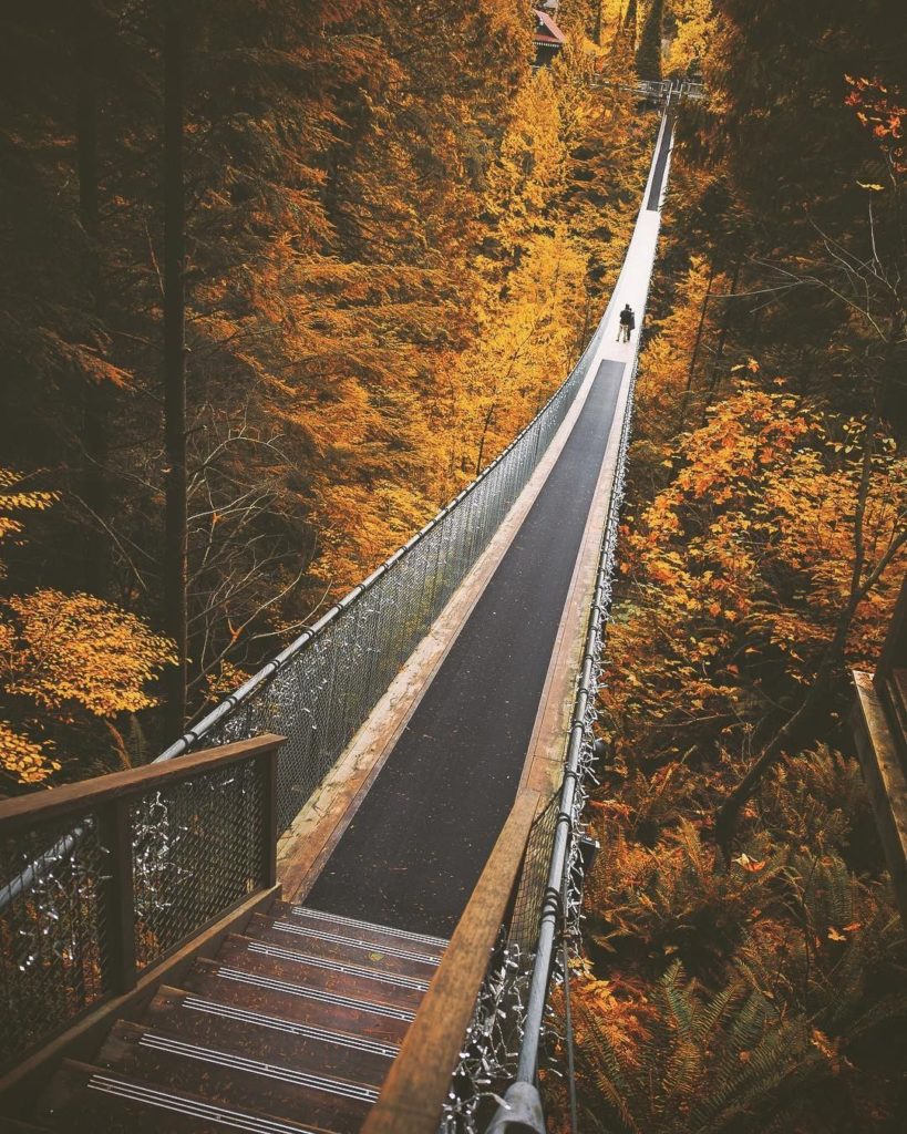 Japan Airline: .
The changing maple leaves envelope a suspension bridge in Vancouver. Take a wa… .
The changing maple leaves envelope a suspension bridge in Vancouver. Take a wa...
