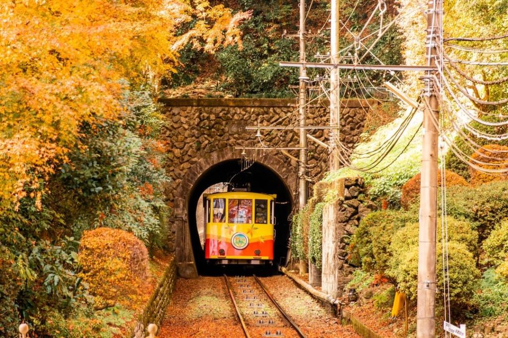 TOKYO?!? WHO KNEW!?!
Located just 40 miles from central Tokyo, Mount Takao is an...