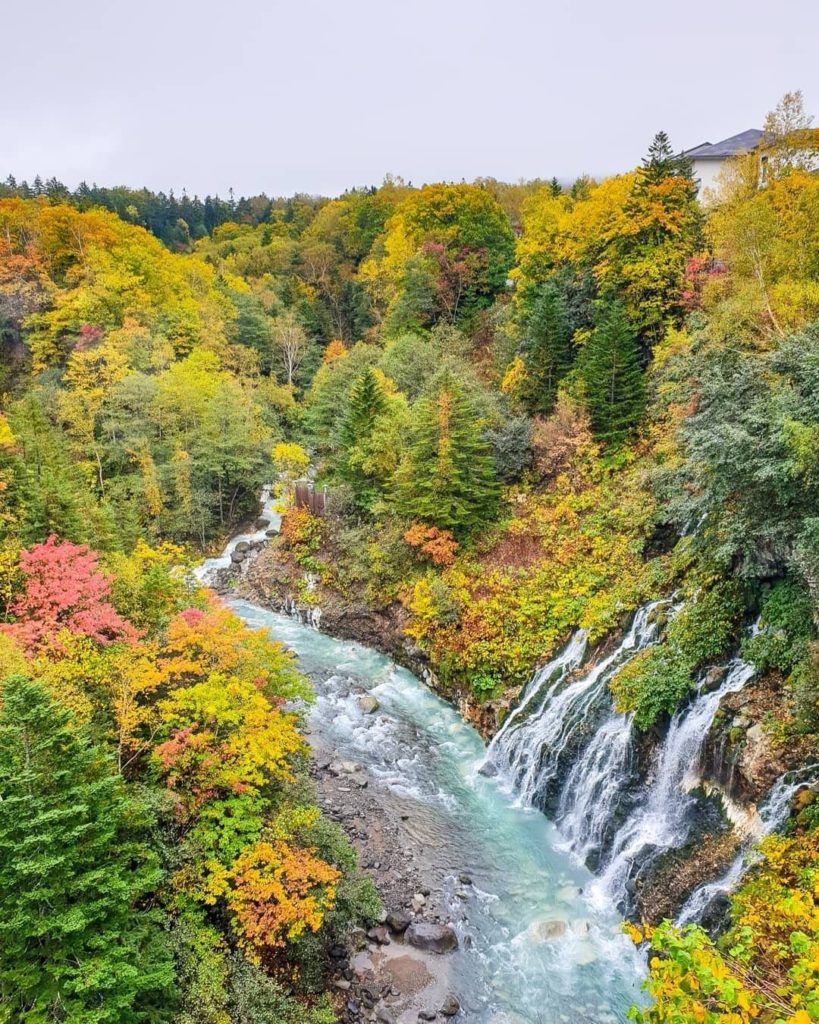 Japan Travel: Japan is known across the globe for its stunning springtime cherry blossoms, but… Japan is known across the globe for its stunning springtime cherry blossoms, but...
