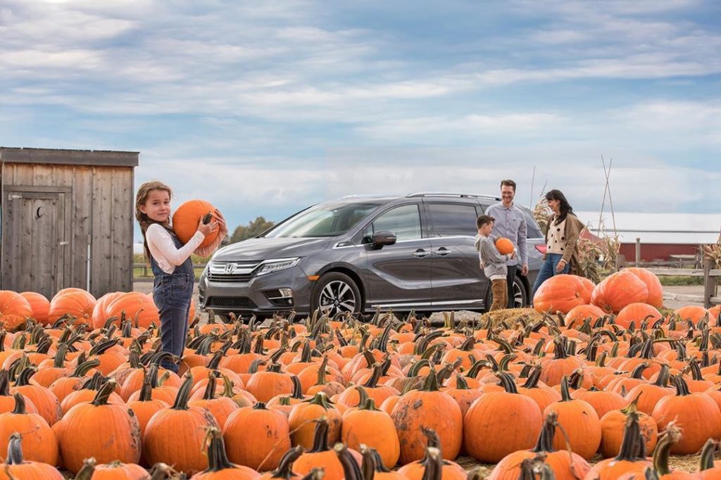 Pack your #HondaOdyssey full of pumpkins and memories that last throughout the f...