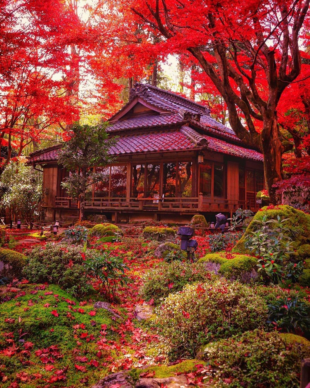 Japan Travel: We're seeing a lot more red popping up in Japan lately ...