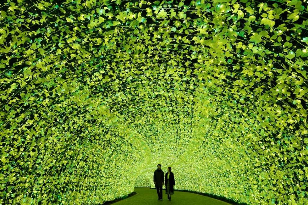 Visit Japan: Winter is illumination season in Japan, with bright displays adding cheer (and a… Winter is illumination season in Japan, with bright displays adding cheer (and a...