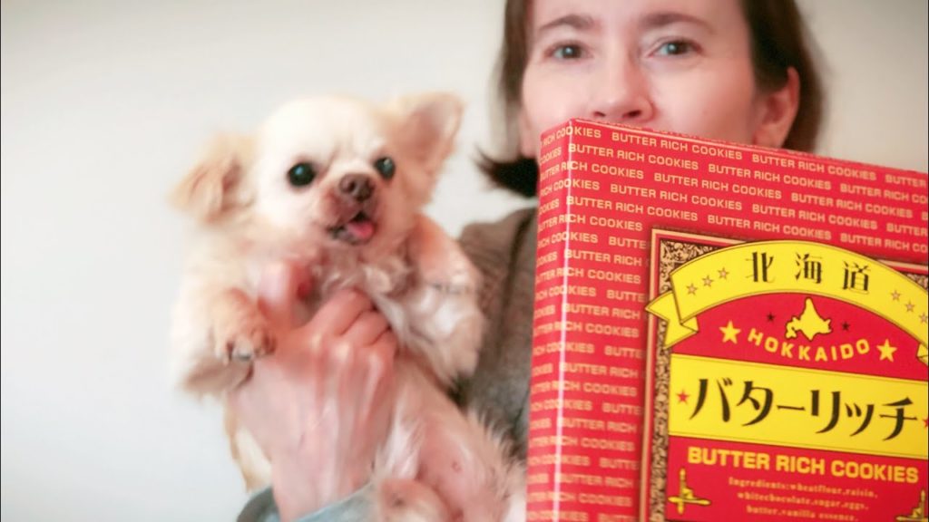 Butter Rich Cookies - Hokkaido Most Delicious Souvenir