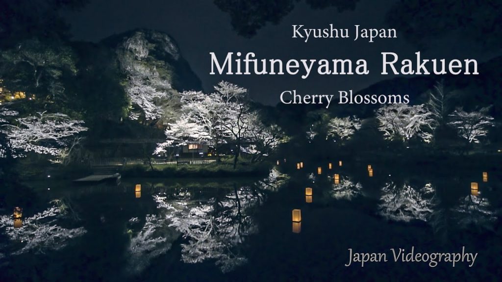 [4K]Mifuneyama Rakuen 御船山楽園 花まつり 九州最大の夜桜ライトアップ Night Cherry Blossoms in Saga Japan 佐賀県武雄温泉 日本の風景