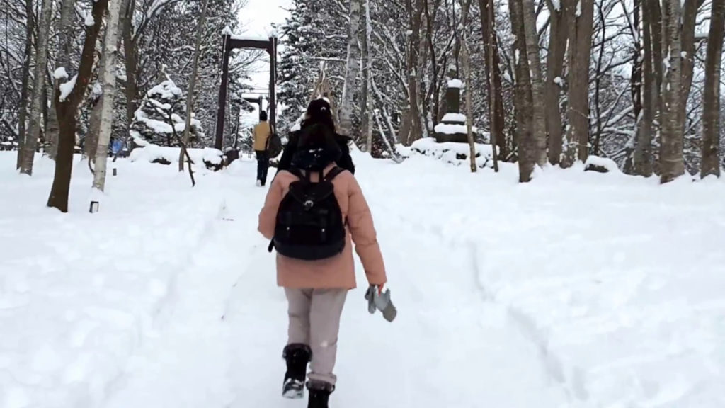 Hokkaido Winter Travel Diary Part 1