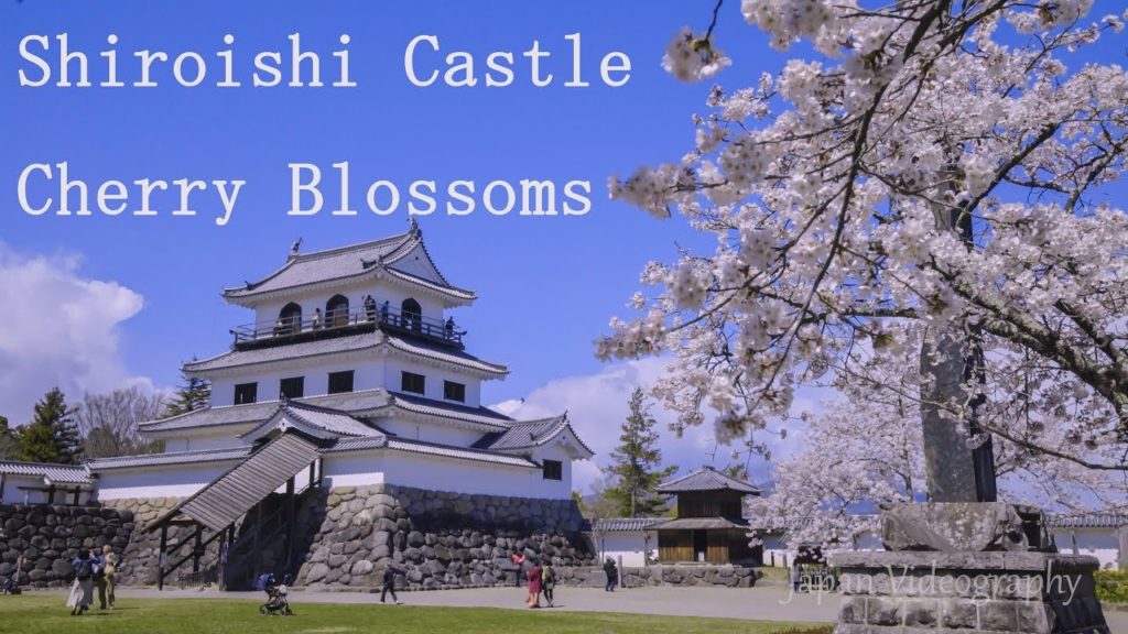 [4K]Shiroishi Castle 白石城の桜 日本の美しい春の風景 片倉小十郎景綱の居城(宮城県) Beautiful Scenery in japan-Cherry blossoms