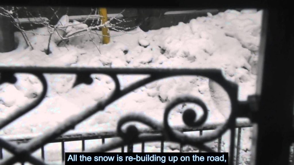 2013's Snow in Takidaicho, Funabashi, Chiba, Japan