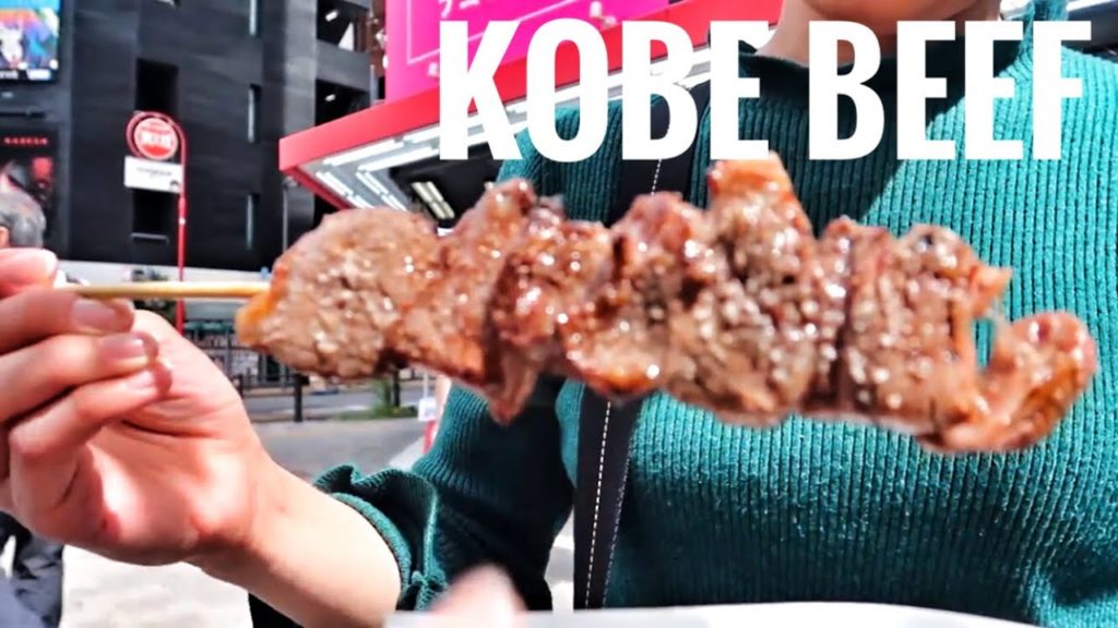 HGJ VLOG 60 - 1200 yen KOBE BEEF AT AKIHABARA