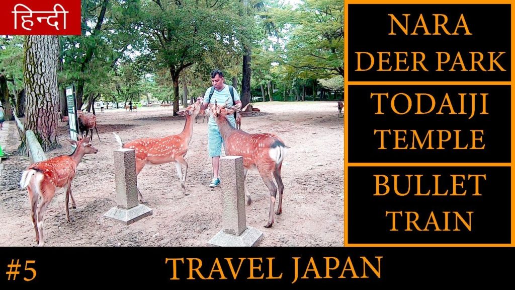 Nara deer park | Todaiji temple | Bullet Train | Travel JAPAN