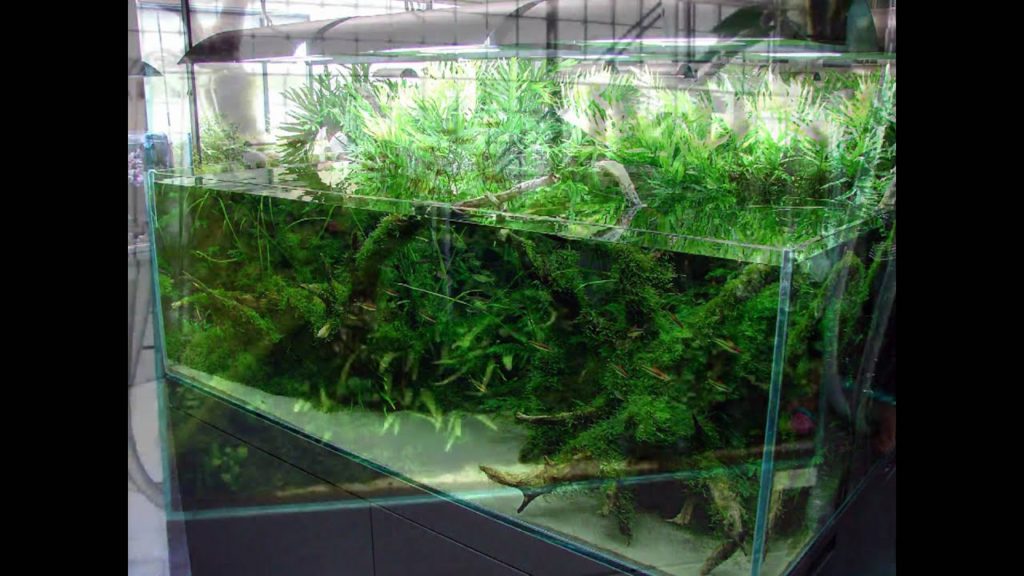 ADA Gallery Niigata; Photos.     尚天野のADAギャラリー　巻町新潟県