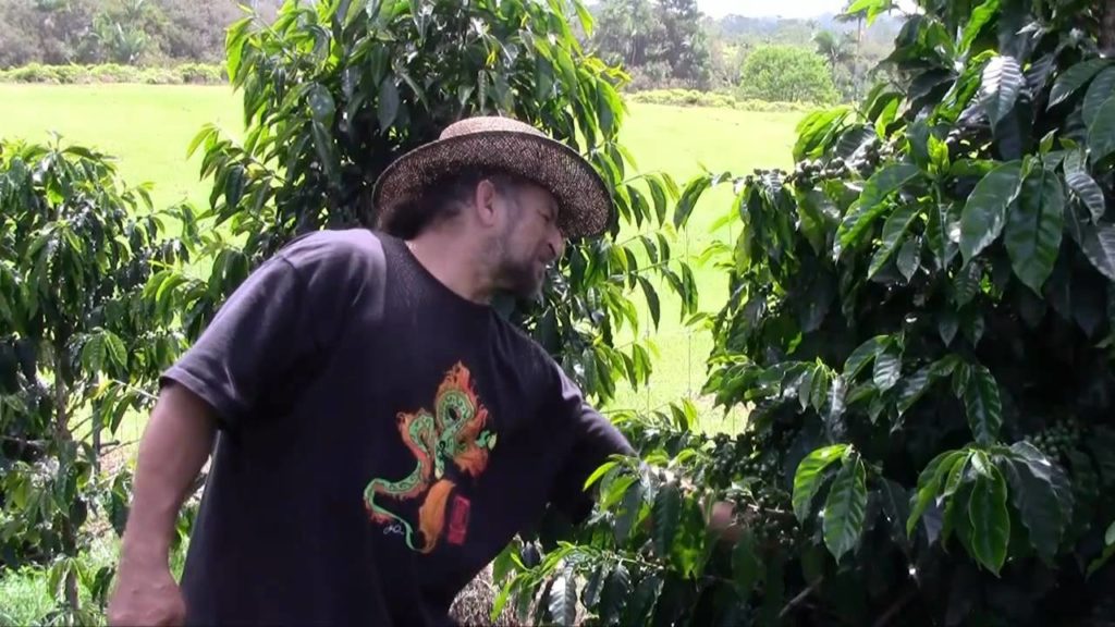 Manny's Brew Farm Tour