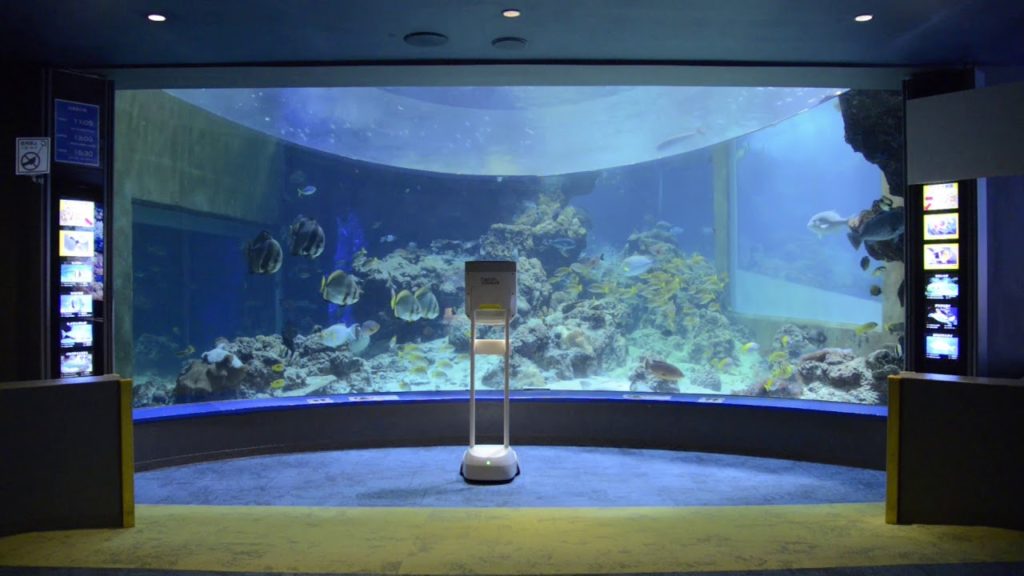 OKINAWA CHURAUMI AQUARIUM - ANA AVATAR