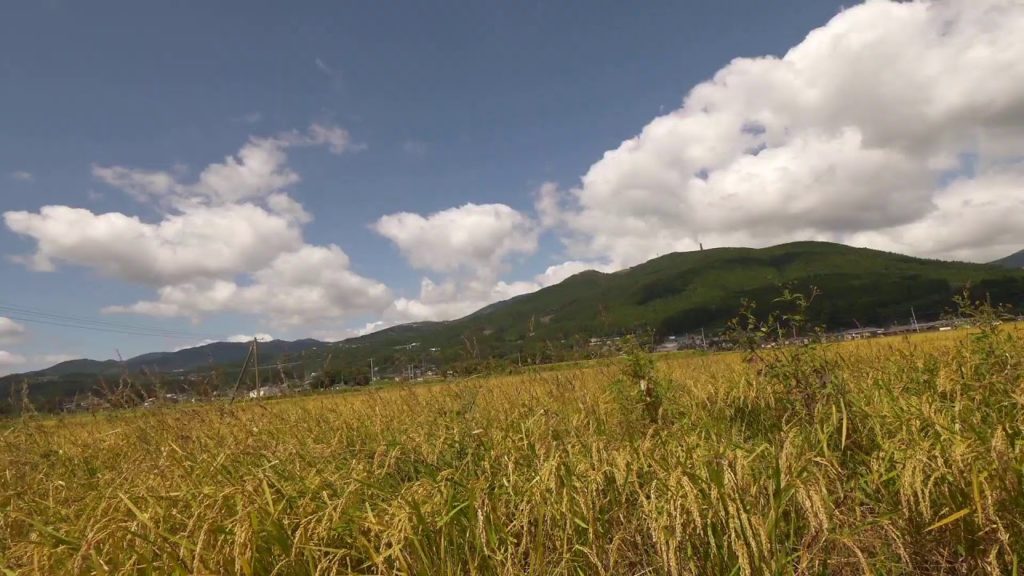 【Live】Walking in morning Yufuin