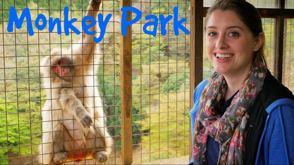 IWATAYAMA MONKEY PARK | Kyoto, Japan