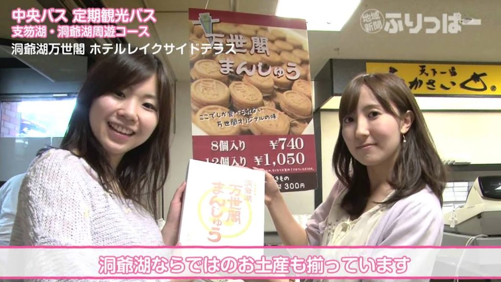 中央バス　定期観光バス　支笏湖・洞爺湖周遊コース