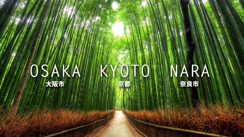 Japan: Osaka | Kyoto | Nara - Winter Highlights