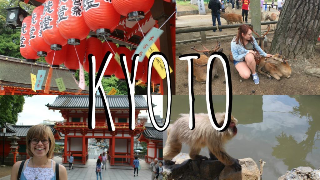 Shrines, deer, & monkeys in KYOTO, NARA, IWATAYAMA | Japan vlog 3