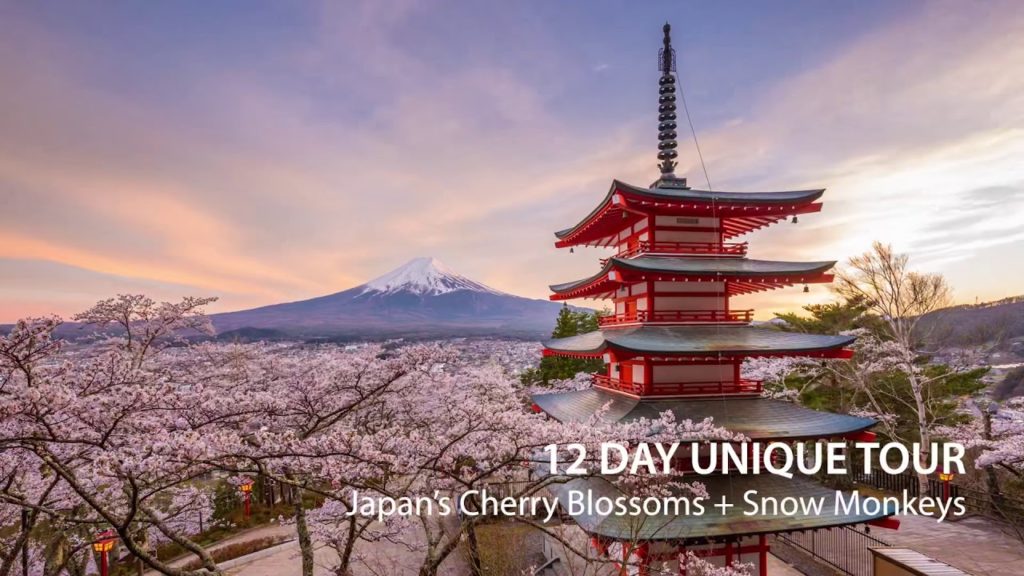 Join us on our Cherry Blossoms and Snow Monkeys of Japan Tour