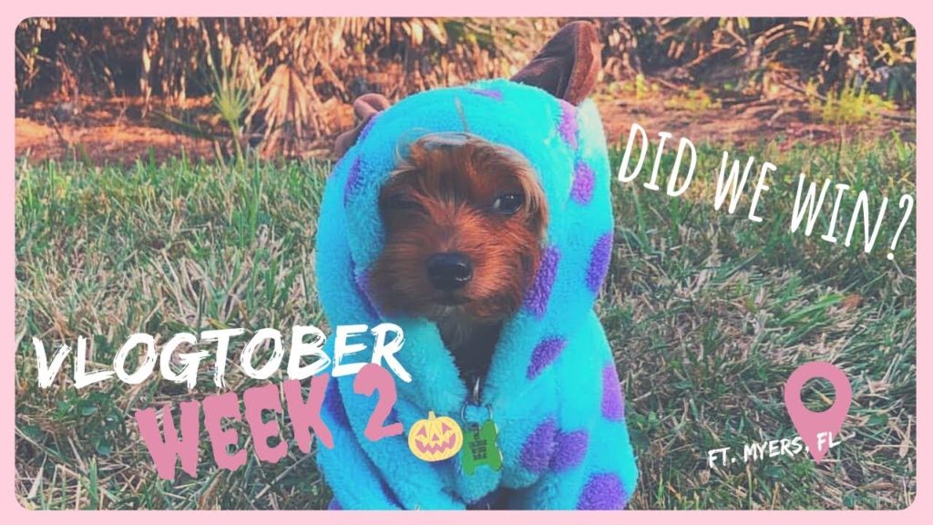 Costume Contest | Travel Vlog | HereWeGoMel Costume Contest | Travel Vlog | HereWeGoMel