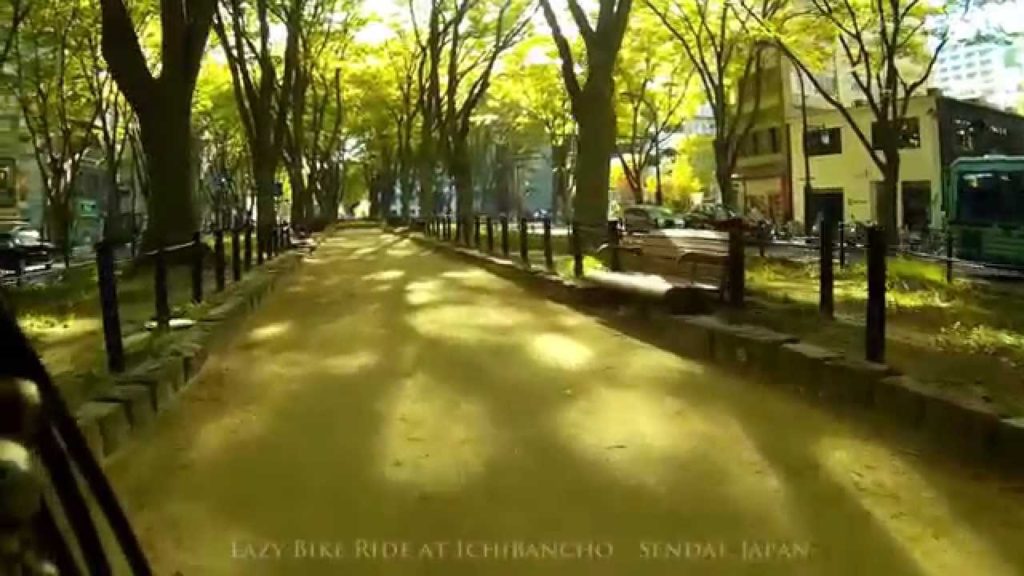 726. Bike Ride at Ichibancho, Sendai, Japan