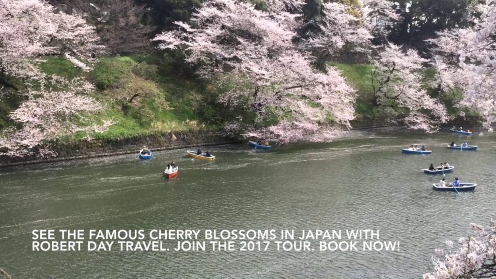 2017 Cherry Blossom Japan Tour - Robert Day Travel