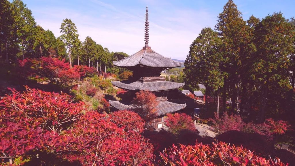 JG☆☆☆ 4K HDR 滋賀 湖南三山 常楽寺の紅葉(国宝) Shiga,Jorakuji in Autumn(National Treasure)