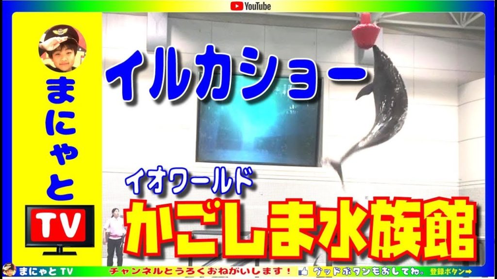 【イルカショー】かごしま水族館　Dolphin show at Japanese aquarium