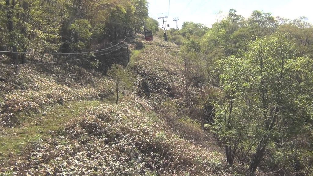 Hokkaido Travels 北海道旅行 登別のぼりべつクマ牧場ロープウェイ