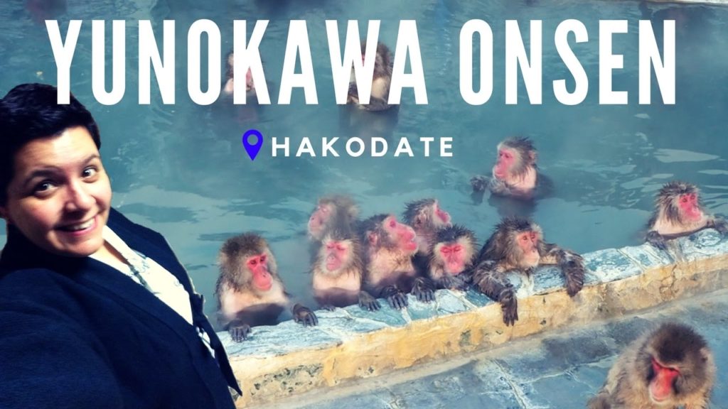 Nos vamos de paseo por YUNOKAWA ONSEN (HAKODATE)
