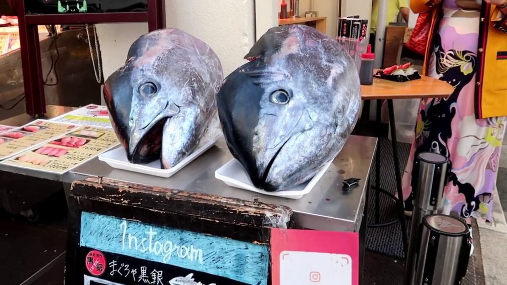 JAPAN TRAVEL VLOG 2019 #1