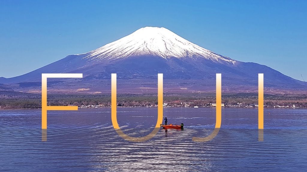 Mount Fuji and Haunted Aokigahara: take this advice before walking into the forest.