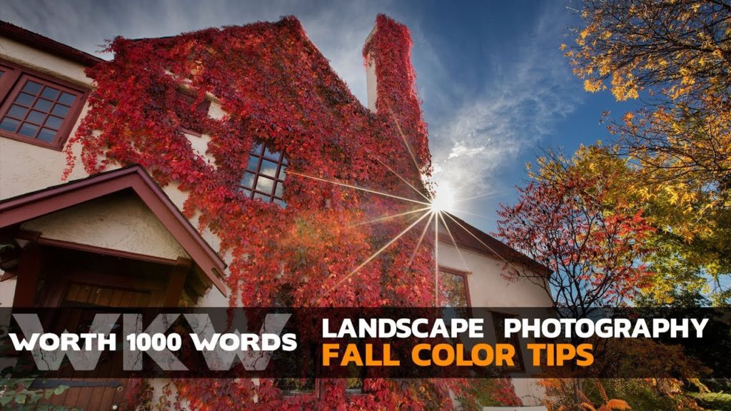 Landscape Photography Tips for Shooting Fall Colors