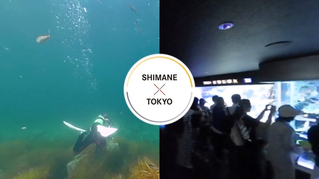 360° CHUGOKU+SHIKOKUxTOKYO – Underwater / SHIMANE 360° CHUGOKU+SHIKOKUxTOKYO - Underwater / SHIMANE
