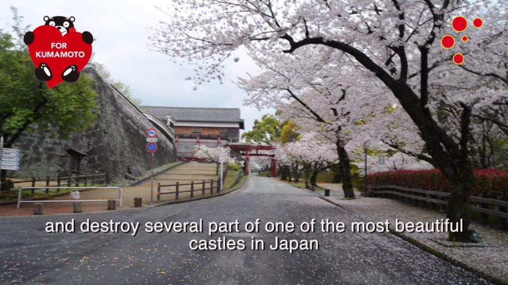 kumamoto flowers