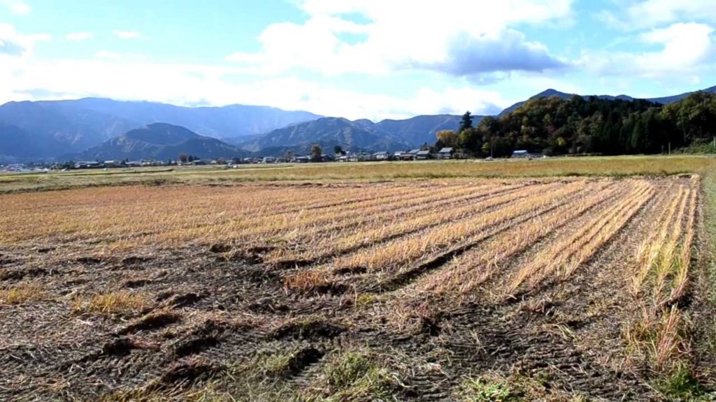 アキーラさん利用⑨国道157号線・福井県大野市付近Route157,Fukui,Japan