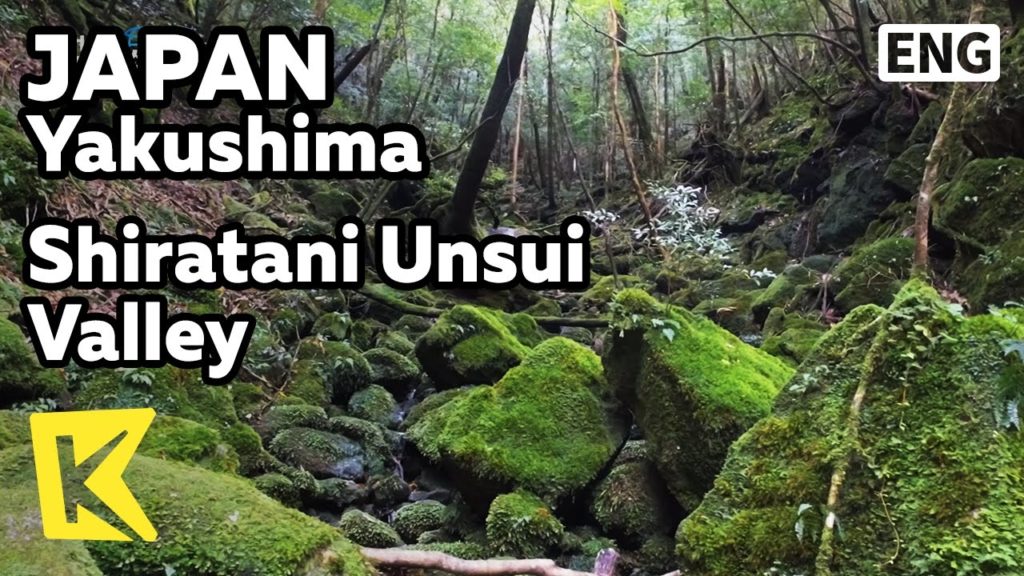 【K】Japan Travel-Yakushima[일본 여행-야쿠시마]원령공주의 배경 시라타니운스/ShirataniUnsui Valley/princess mononoke