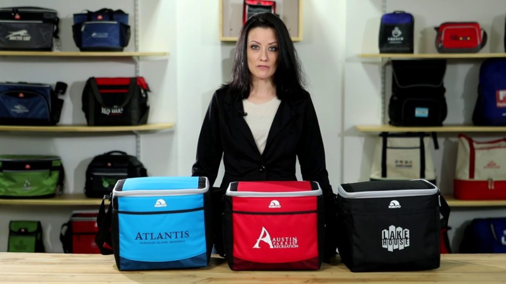 Igloo Akita Collapse and Cool Cooler | Gemline | Promotional Products