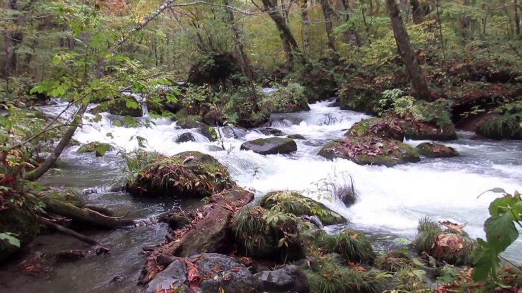 Oirase Stream Towada-Hachimantai National Park Towada Aomori Tohoku Honshu, Japan