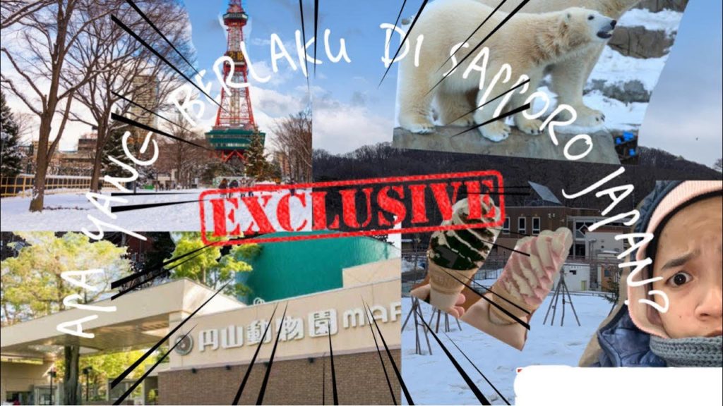 TRAVEL VLOG: SAPPORO, HOKKAIDO. JAPAN (PART 2)