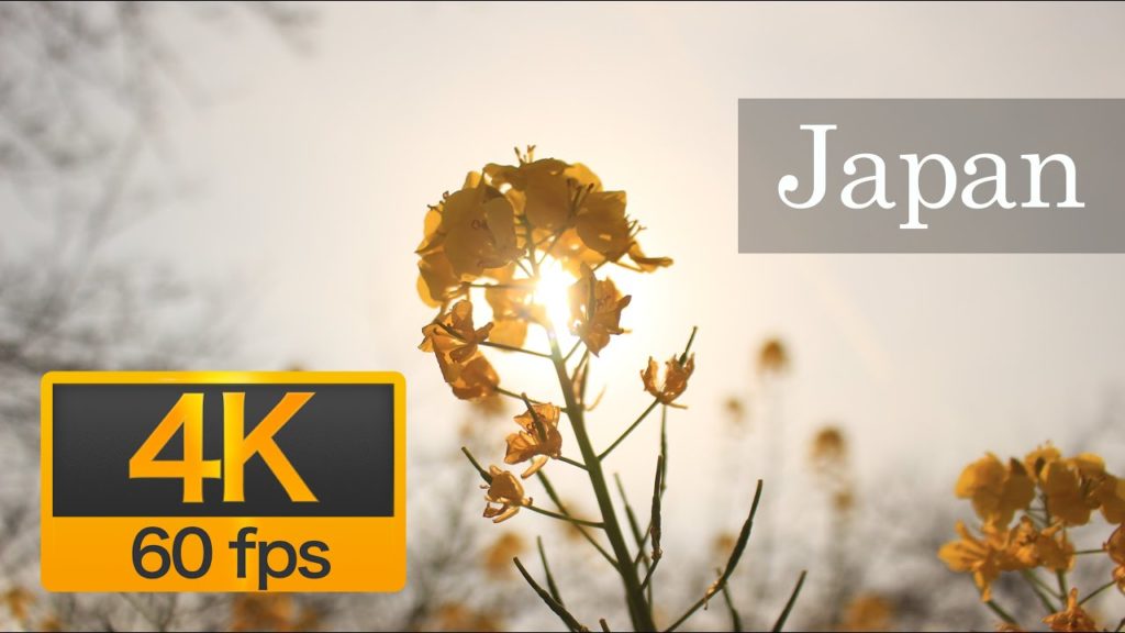 Vídeo de natureza japonês (mancha de turismo) Vídeo de natureza japonês (mancha de turismo)