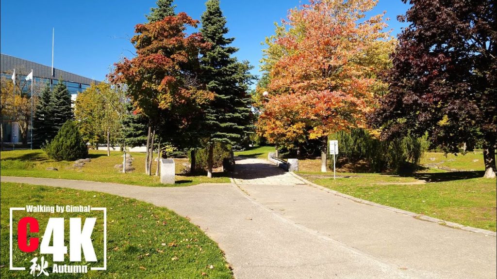 Walk around Nakajima Park in Sapporo, Hokkaido in Autumn C4K / 秋の紅葉 札幌市 中島公園の散歩 C4K